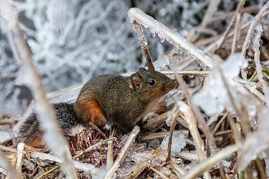 益智游戏《Oh! Fuse Box》Steam页面上线 2023年4月发售